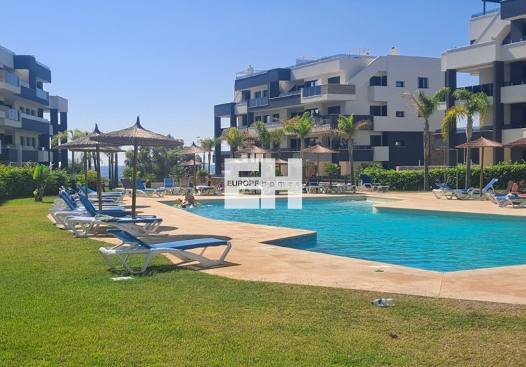 Apartamento  - Segunda mano - Playa Flamenca - Costa Blanca