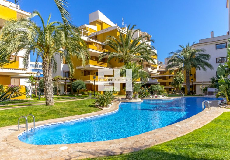 Apartamento  - Segunda mano - Torrevieja - Costa Blanca