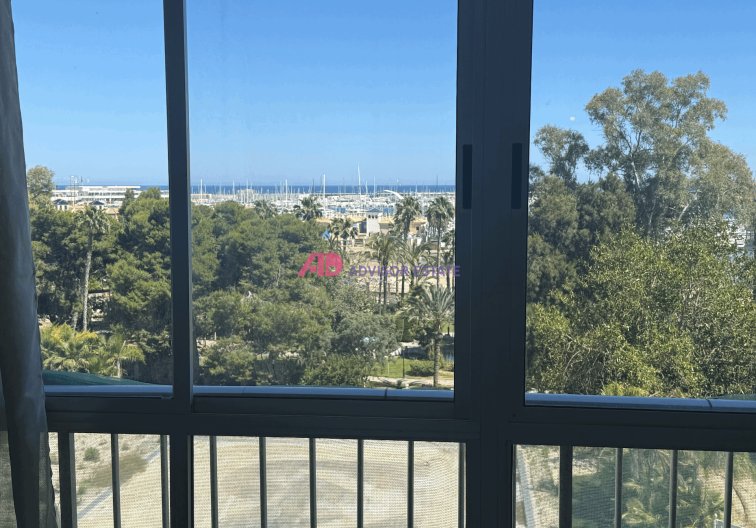 Apartamento  - Segunda mano - Torrevieja - Costa Blanca