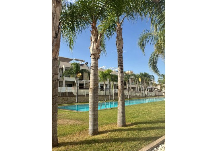 Apartamento  - Segunda mano - Torrevieja - Los Balcones 