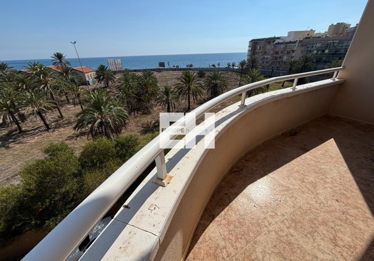 Apartamento  - Segunda mano - Torrevieja - Playa del Cura