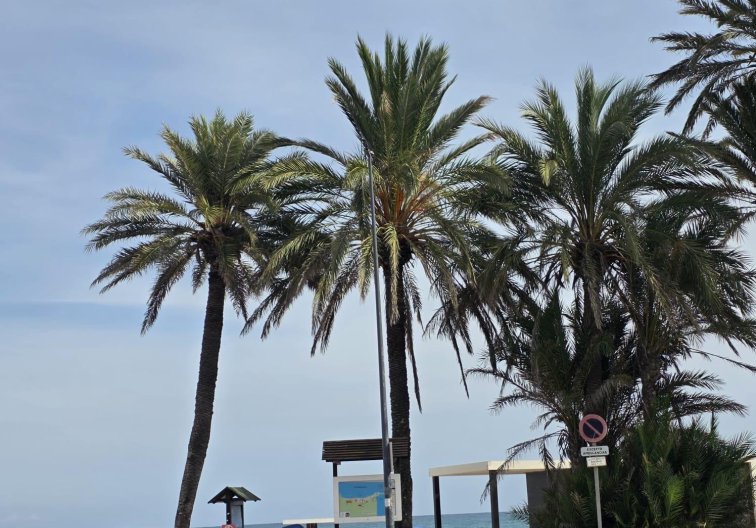Appartement - Revente - Orihuela Costa - Altos De Campoamor