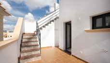 Bungalow im obersten Stockwerk - Neubau - Cox - NB-26574