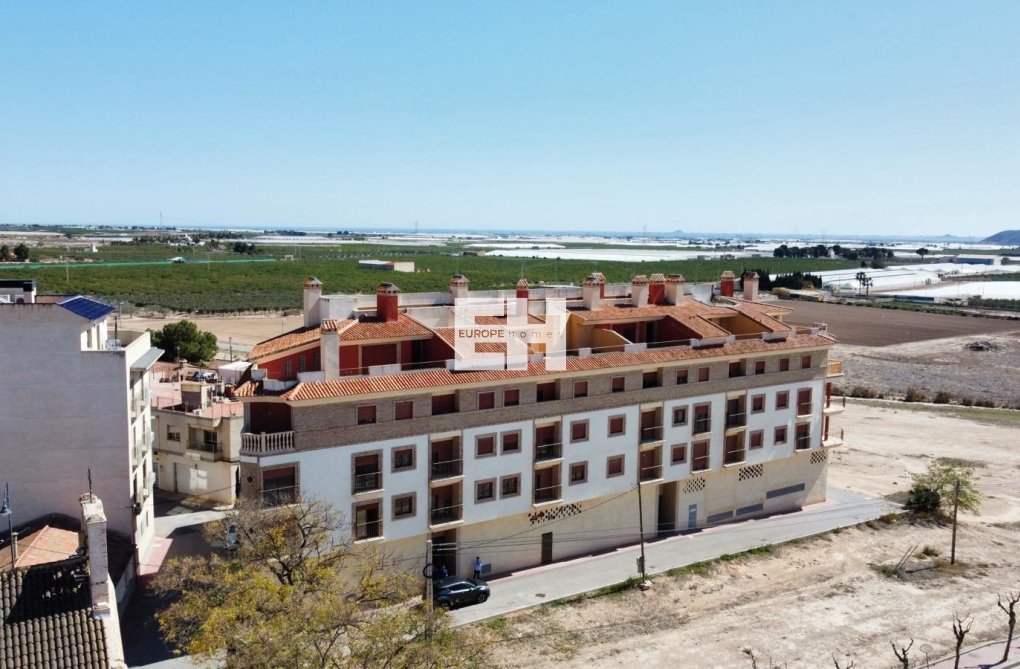 Construction Neuve - Appartement - Avileses - pueblo