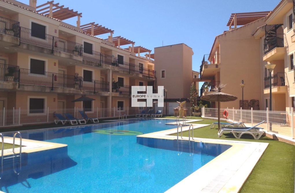 Construction Neuve - Penthouse - Aguilas - Collados