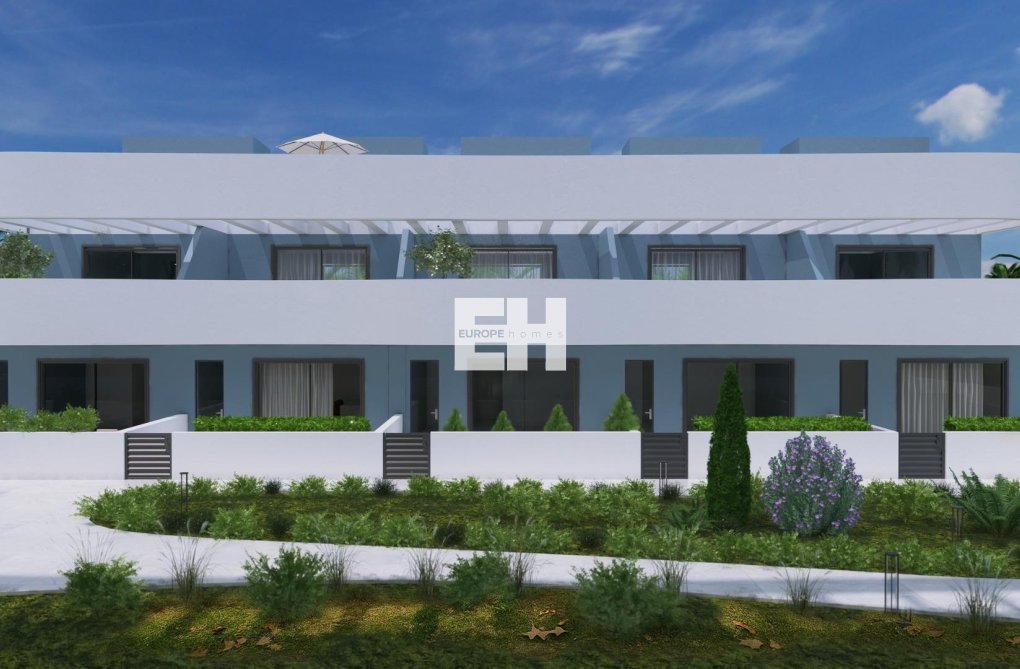 Construction Neuve - town house - Guardamar del Segura - El Raso