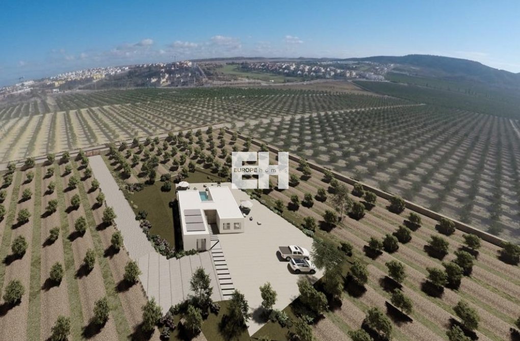 Construction Neuve - villa - Algorfa - Lomas De La Juliana