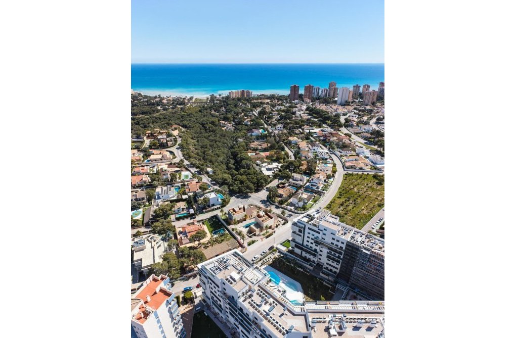 Construction Neuve - villa - Orihuela Costa - Dehesa de campoamor