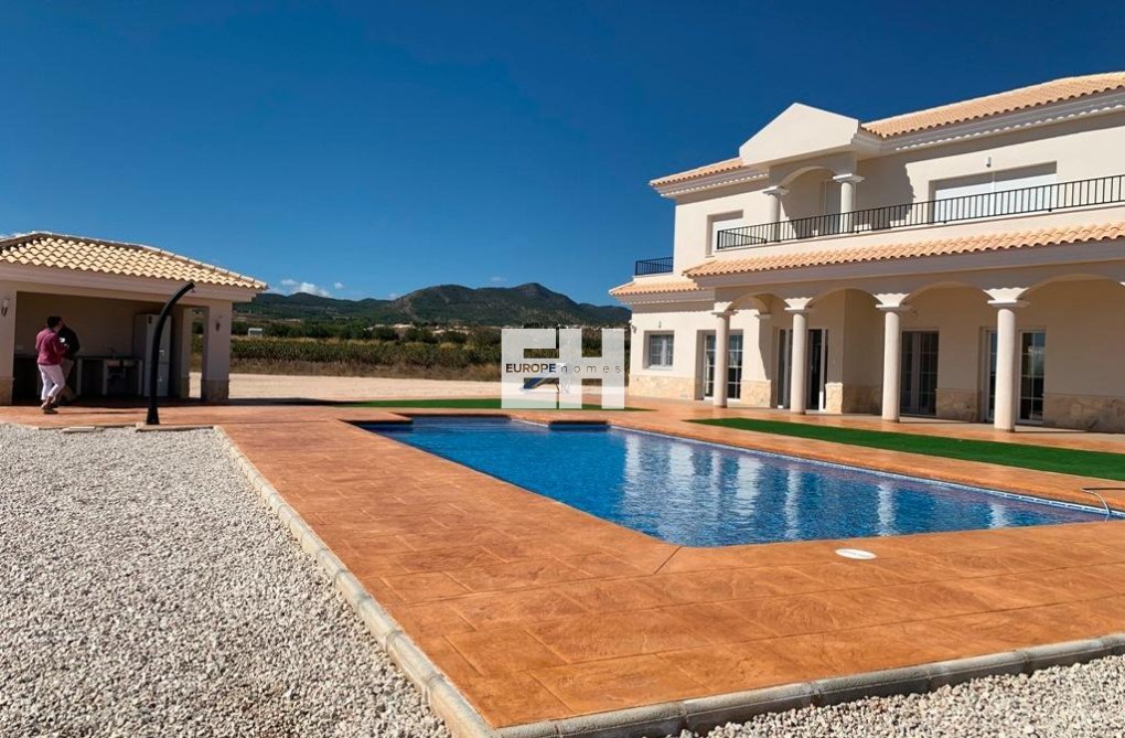 Construction Neuve - villa - Pinoso - Camino Del Prado