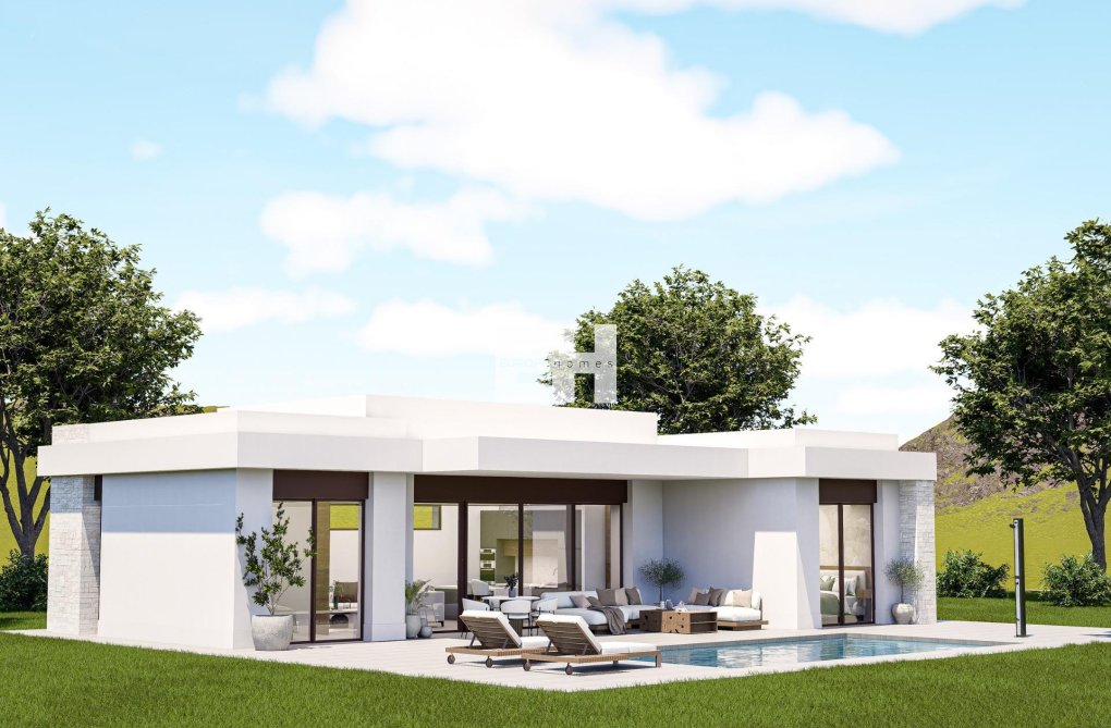 Construction Neuve - villa - Pinoso - Lel