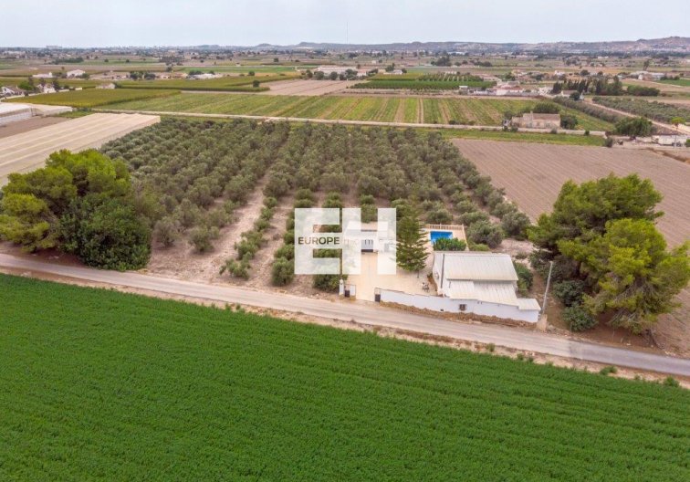 Finca - Segunda mano - Dolores - Costa Blanca
