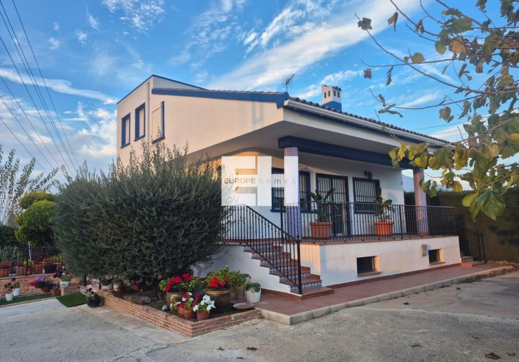 Finca - Segunda mano - Orihuela - Casco Histórico