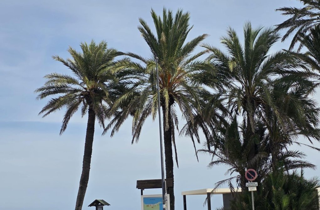 Herverkoop - Appartement - Orihuela Costa - Altos De Campoamor