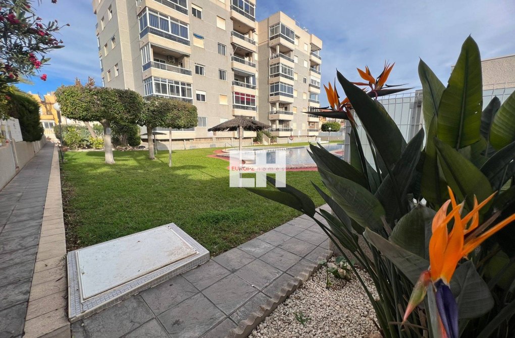 Herverkoop - Appartement - Torrevieja - Aguas Nuevas