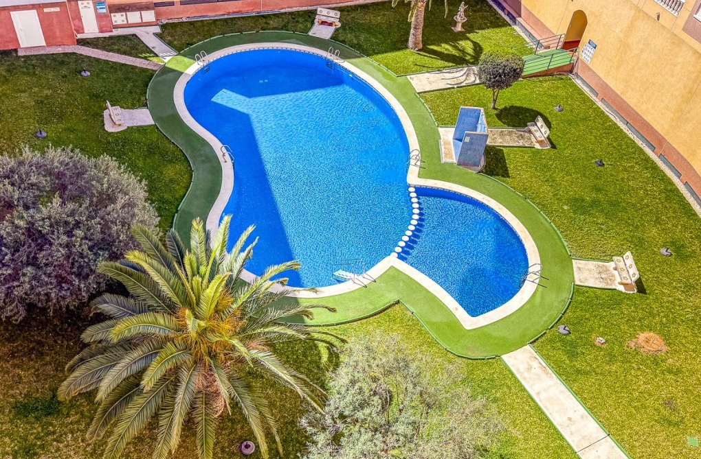 Herverkoop - Appartement - Torrevieja - Costa Blanca