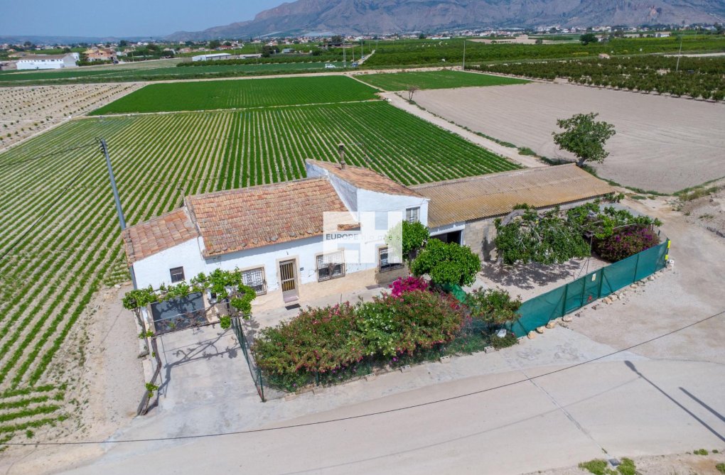 Herverkoop - Finca - Orihuela - Desamparados-hurchillo-torremendo