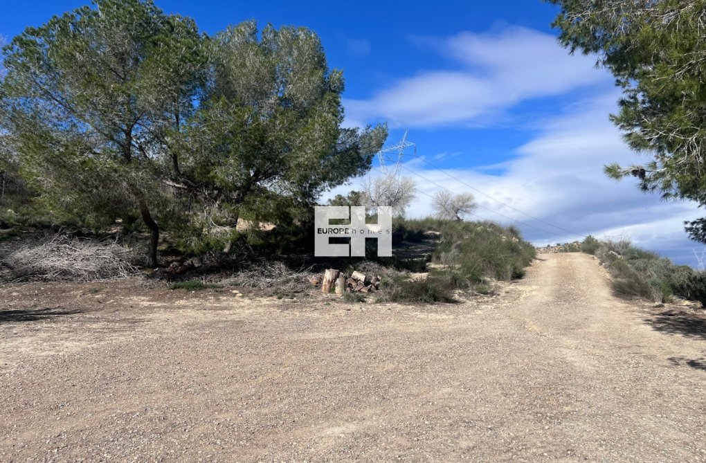 Herverkoop - Landhuis - Torremendo - Costa Blanca