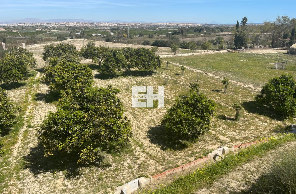Herverkoop - villa - Guardamar del Segura - Costa Blanca