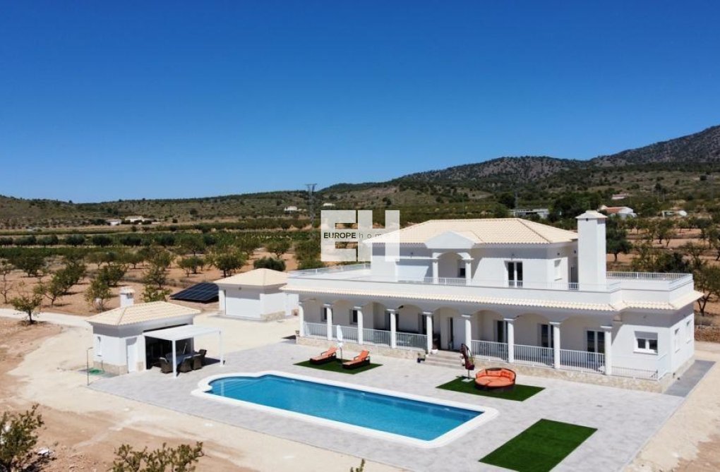 Neubau - villa - Pinoso - Camino Del Prado