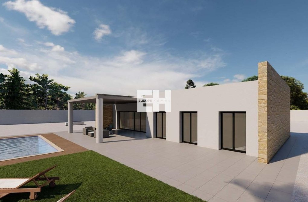 Neubau - villa - Pinoso - Campo