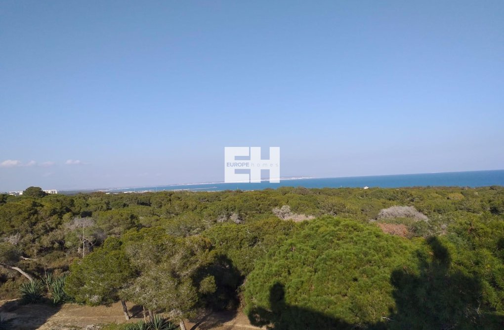 New Build - Ground floor apartment - Guardamar del Segura - Pueblo