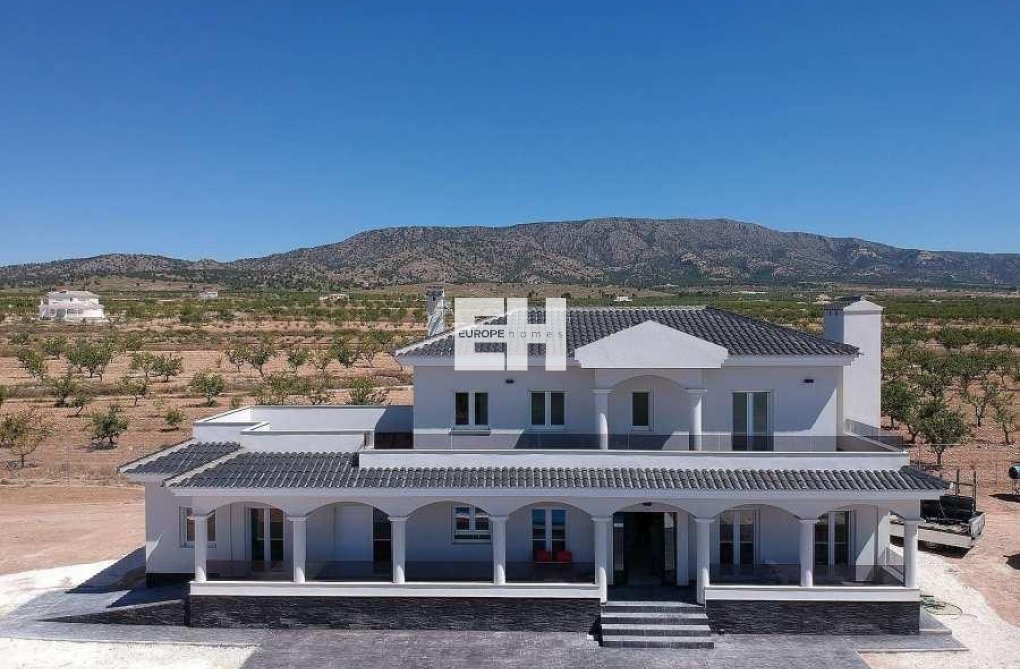 Nieuwbouw - villa - Pinoso - Camino Del Prado