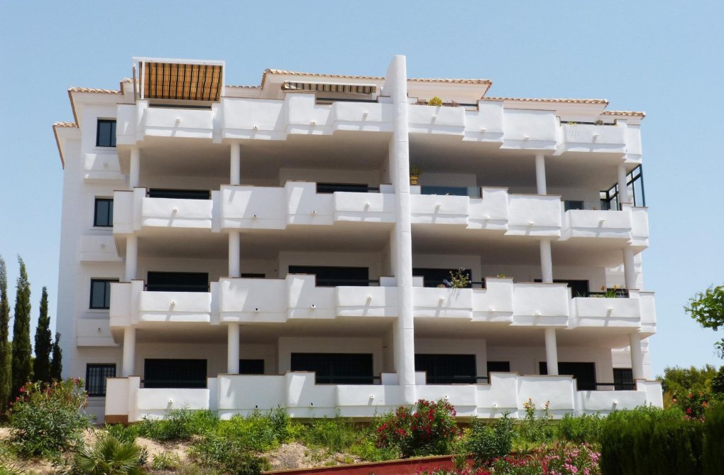 Obra Nueva - Atico - Orihuela Costa - Lomas de Campoamor
