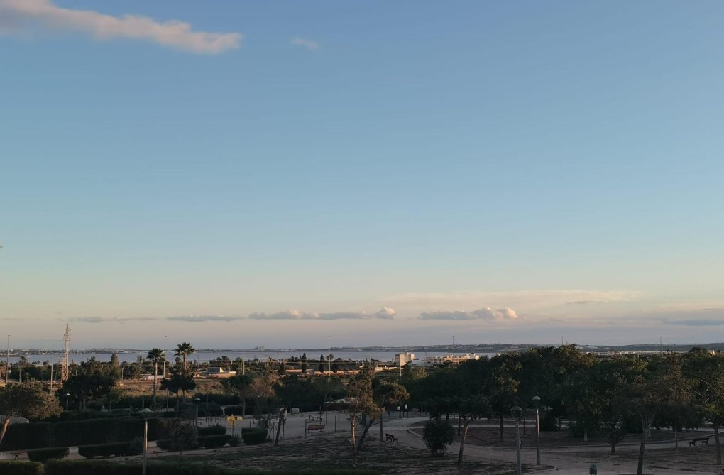 Obra Nueva - villa - Los Montesinos - La Herrada