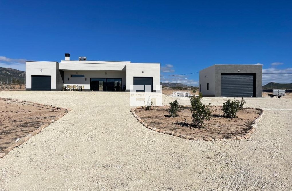 Obra Nueva - villa - Pinoso - Camino Del Prado