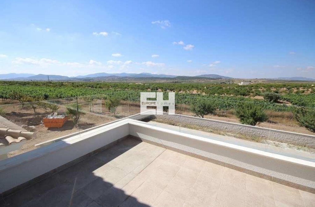 Obra Nueva - villa - Pinoso - Camino Del Prado