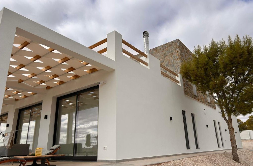 Obra Nueva - villa - Pinoso - Casas Pastor