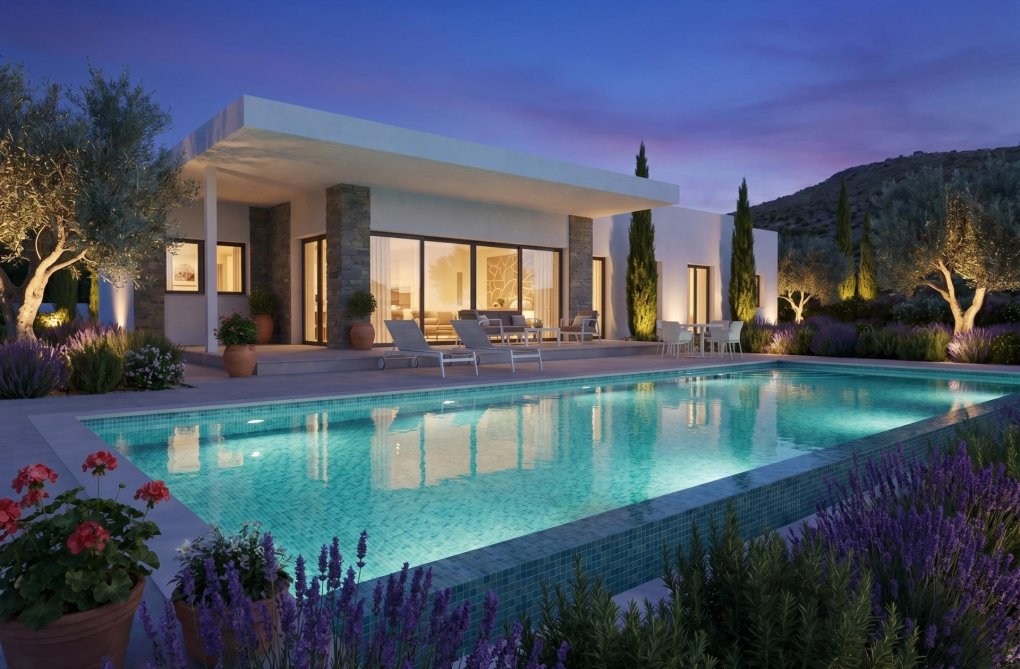 Obra Nueva - villa - Pinoso - Casas Pastor