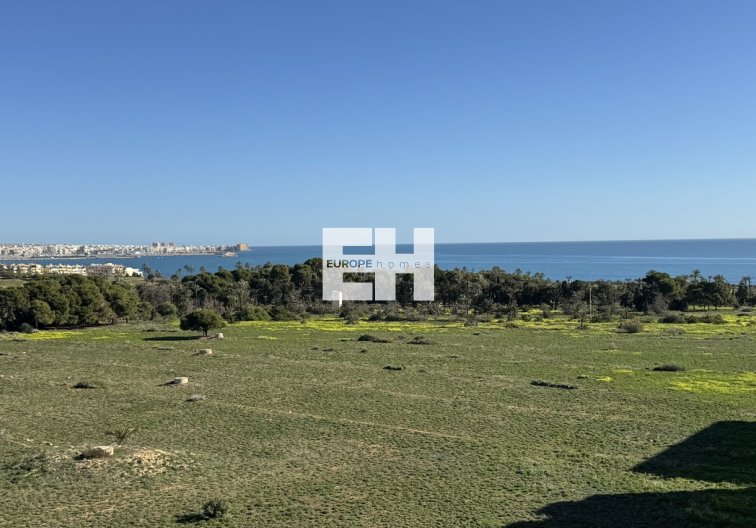 Penthouse Penthouse - Wiederverkauf - Punta Prima - Costa Blanca