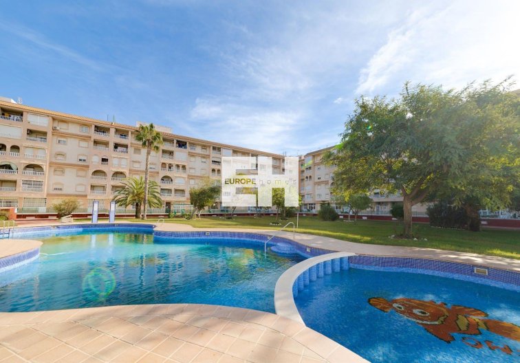 Penthouse - Resale - Torrevieja - Centro