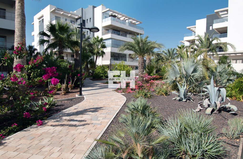 Resale - Apartment - Orihuela Costa - Los Dolses