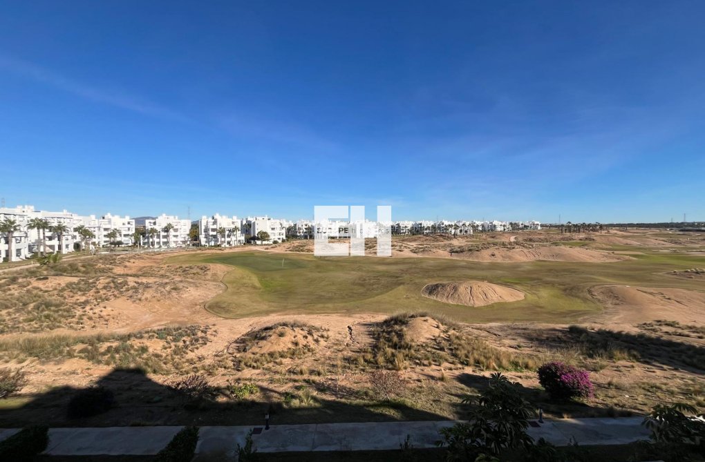 Resale - Apartment - Torre Pacheco - Inland