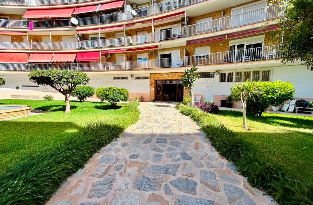 Resale - Apartment - Torrevieja - Costa Blanca