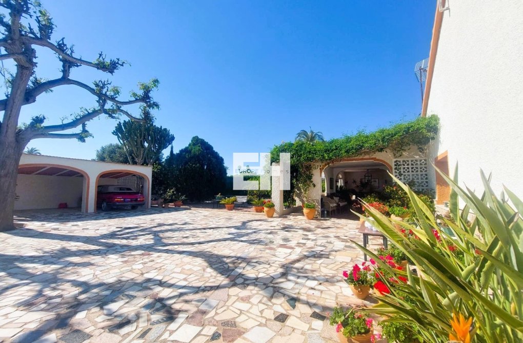 Resale - Finca - La Marina - Costa Blanca