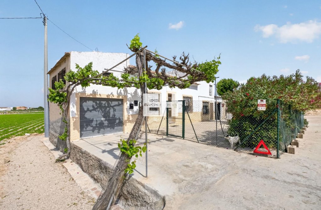 Resale - Finca - Orihuela - Desamparados-hurchillo-torremendo