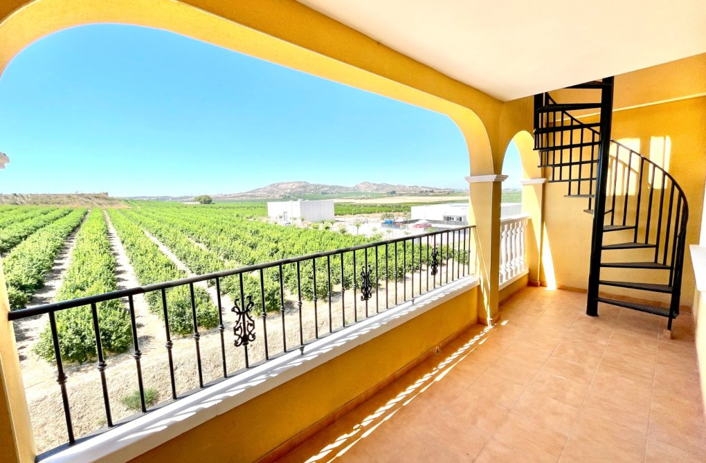 Resale - Penthouse - Algorfa - Inland
