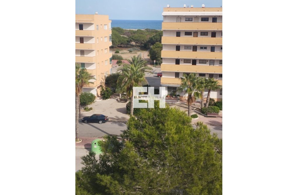 Revente - Appartement - Guardamar del Segura - Pinomar