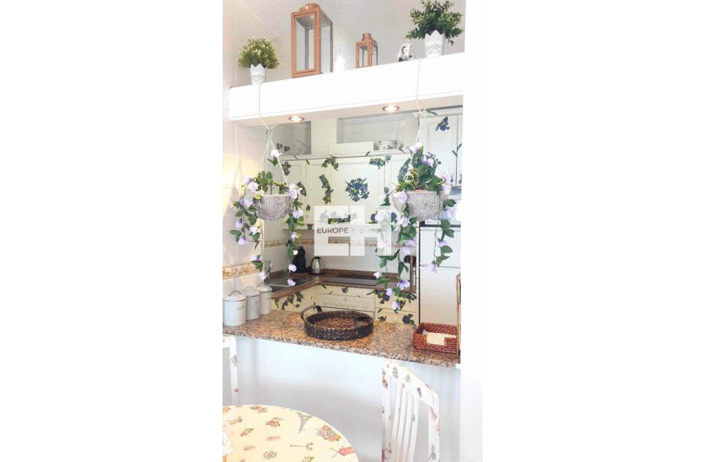 Revente - Appartement - Torrevieja - Centro