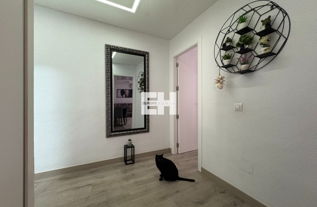 Revente - Appartement - Torrevieja - Costa Blanca