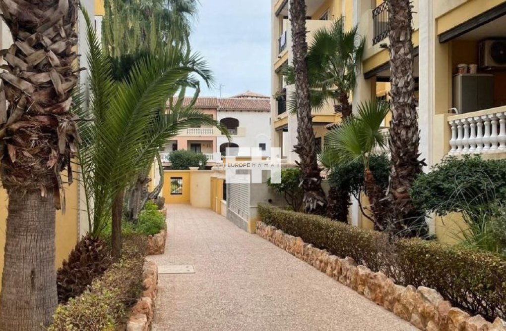 Revente - Appartement - Torrevieja - Costa Blanca