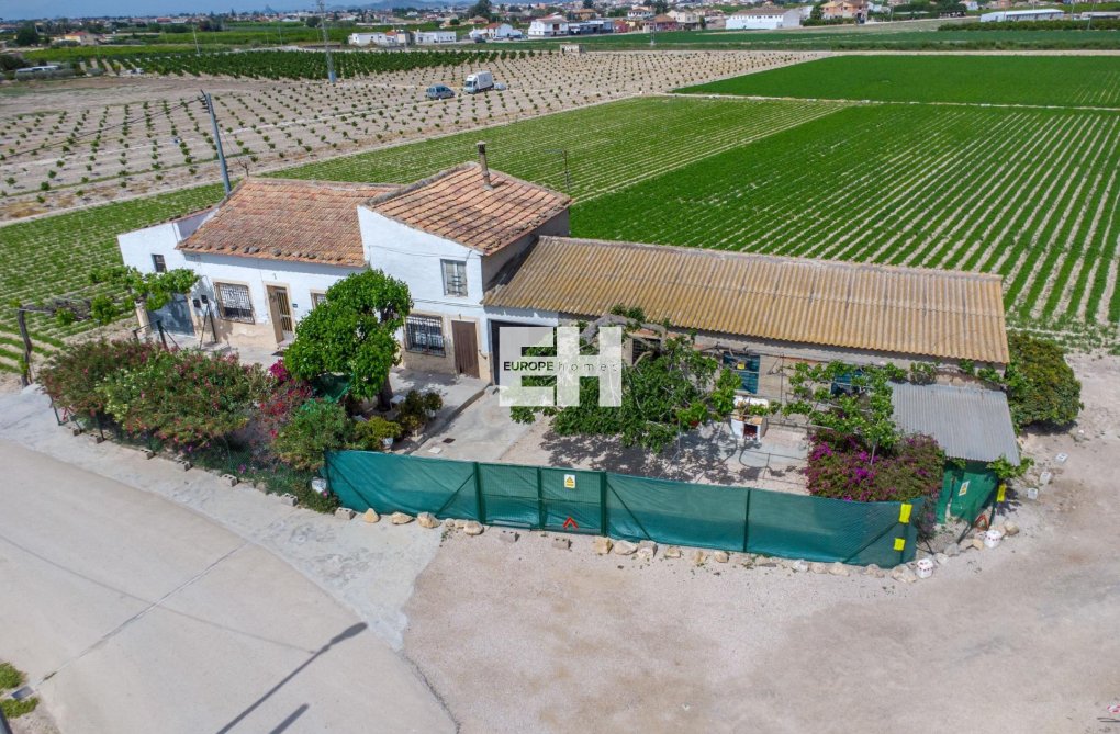 Revente - Finca - Orihuela - Desamparados-hurchillo-torremendo