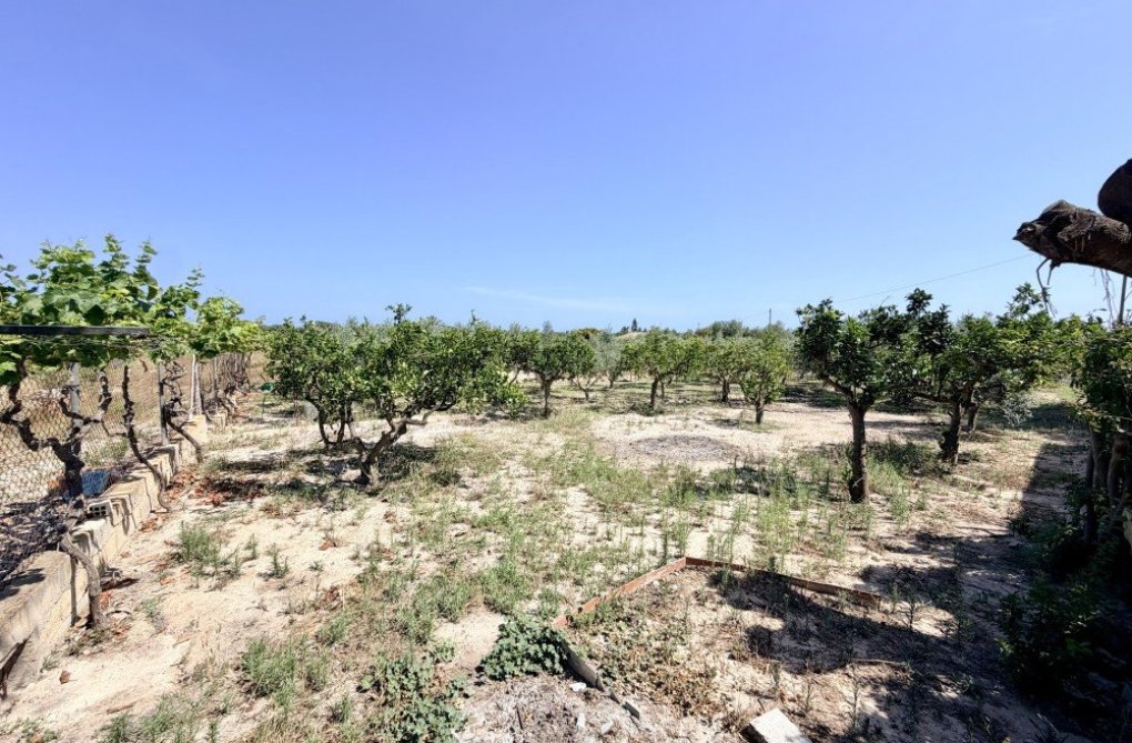Revente - Maison de campagne - La Marina - Costa Blanca