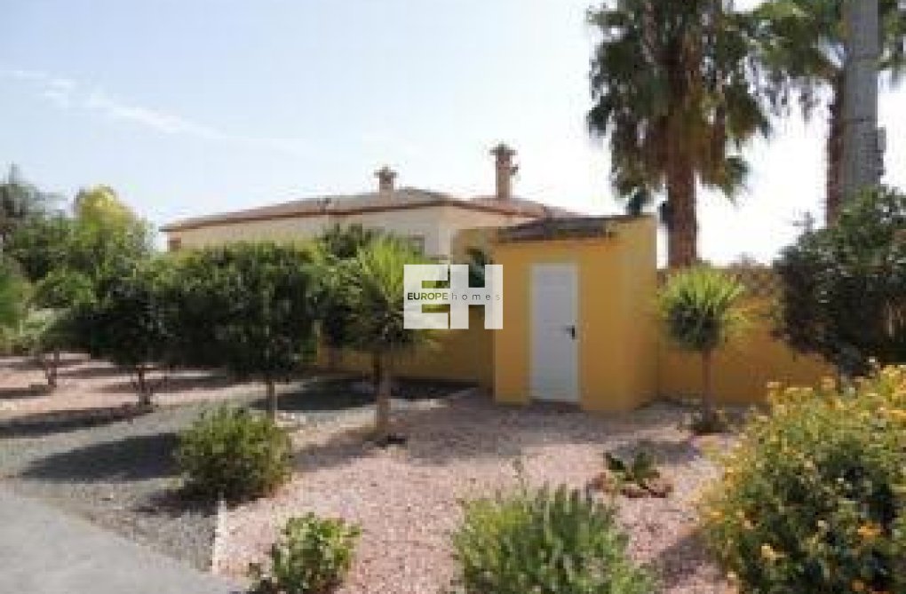 Revente - villa - Catral