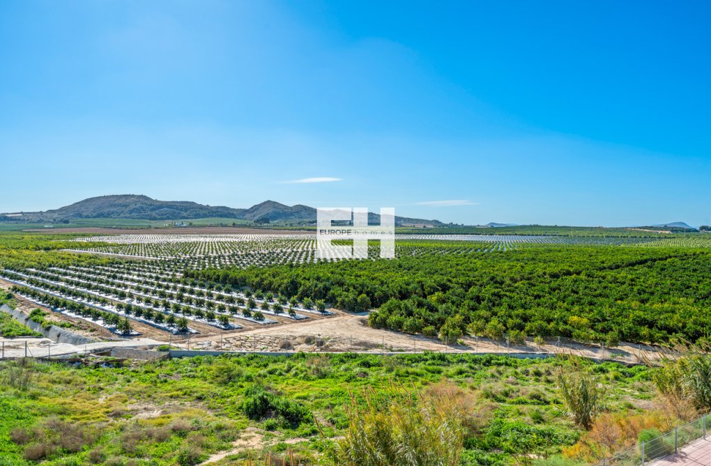 Segunda mano - Apartamento  - Algorfa - Inland