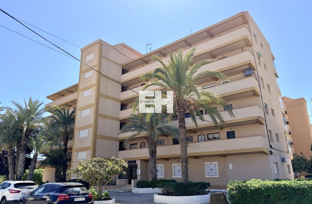 Segunda mano - Apartamento  - Guardamar del Segura - Costa Blanca