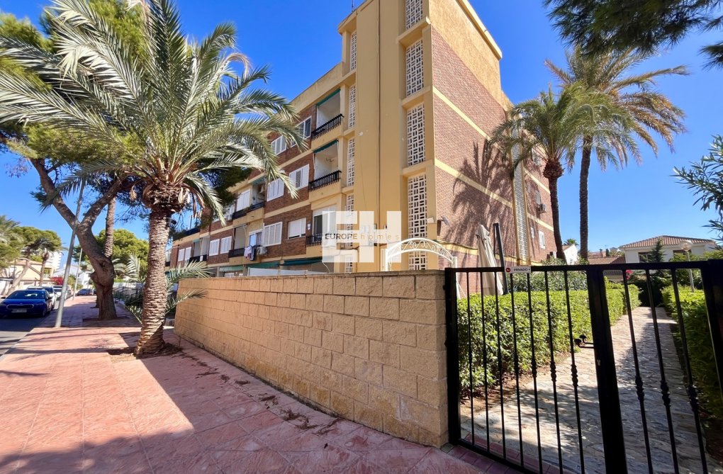 Segunda mano - Apartamento  - La Zenia - Costa Blanca